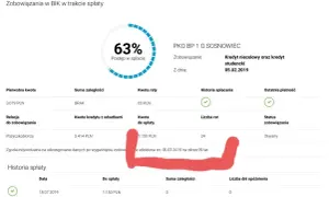 Czy Kuki sprawdza BIK? Jak negatywne wpisy wpływają na pożyczkę