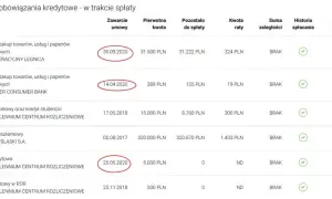 Jak sprawdzić zdolność kredytową w BIK i uniknąć błędów finansowych