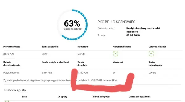 Czy Kuki sprawdza BIK? Jak negatywne wpisy wpływają na pożyczkę