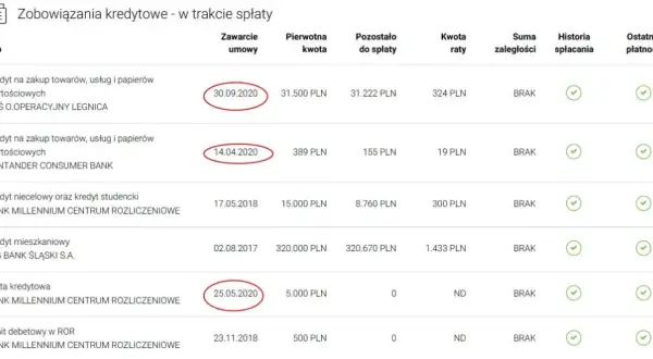 Jak sprawdzić zdolność kredytową w BIK i uniknąć błędów finansowych
