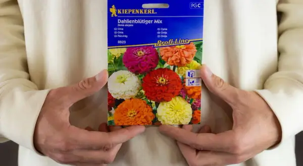Kiepenkerl - co to za firma i dlaczego warto znać tę markę nasion?